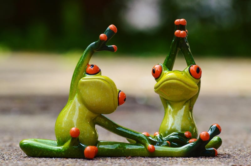 Vinyasa yoga flow